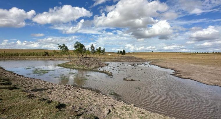 Declaración de emergencia agropecuaria se extiende  hasta el 31 de diciembre