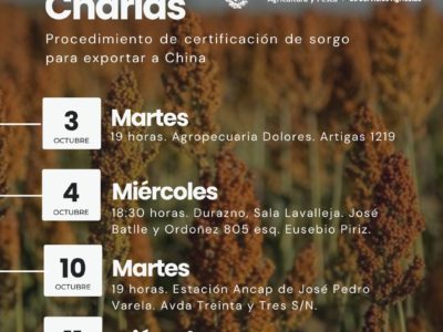 Charlas sobre certificación de sorgo para exportar a China