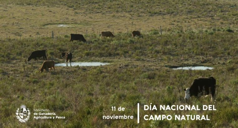 Día Nacional del Campo Natural