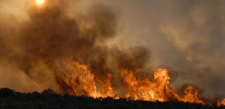 Prevención incendios forestales