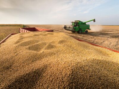 Argentina con exportaciones por casi 20.000 millones de la mano de la soja