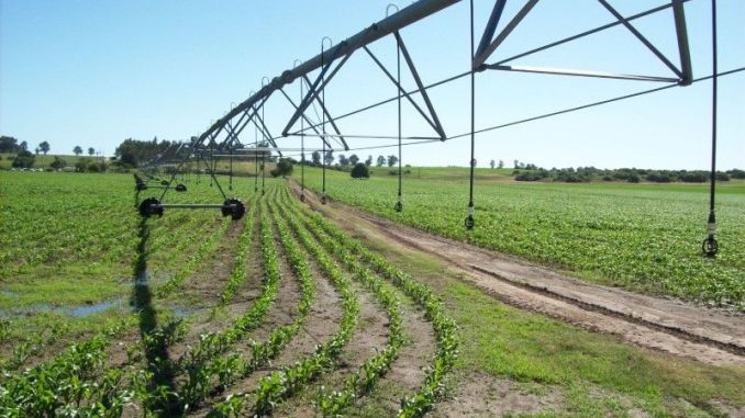 Uruguay riega únicamente el 2% del área productiva