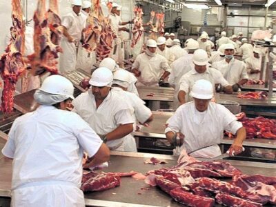 Planta ovina Daymán Meats vuelve a faenar