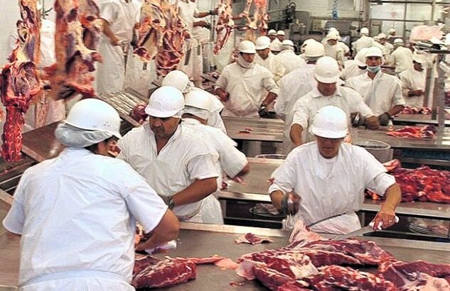 Planta ovina Daymán Meats vuelve a faenar