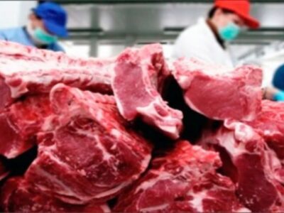 Exportaciones argentinas de carne vacuna serán récord en 2025