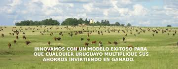 Recuperar toda la inversión en Conexión Ganadera parece imposible